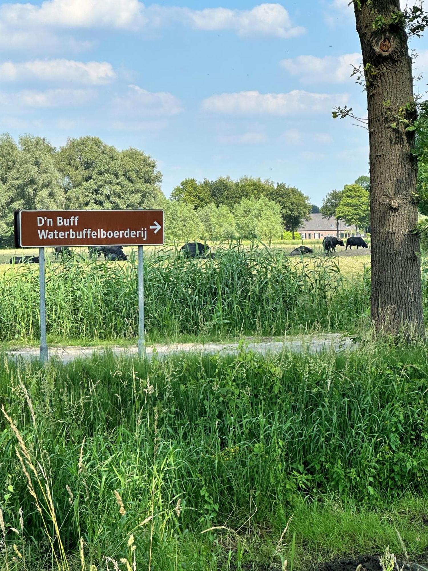 Gasterij Hotel Dennenoord ボクステル エクステリア 写真